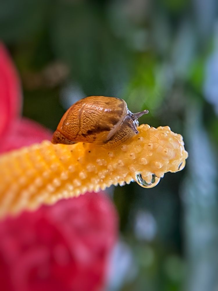 Photograph by Светлана Дмитриева