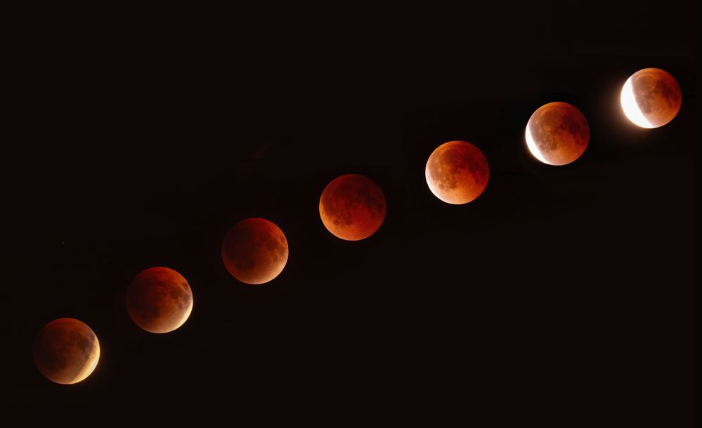 Фотография автора Онучина Юлия