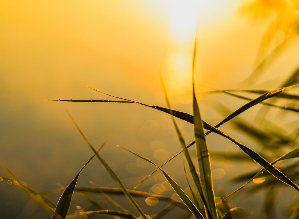 Фотография автора Maxim Bondar