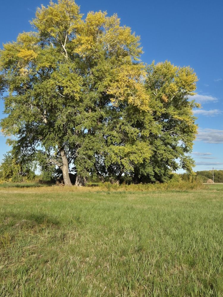 Фотография автора Валентина