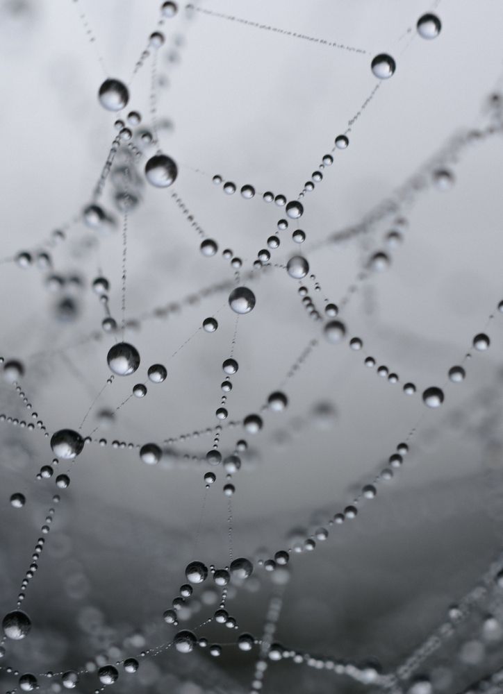 Фотография автора Maxim Bondar