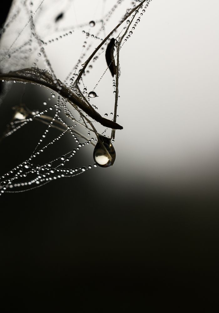 Photograph by Maxim Bondar