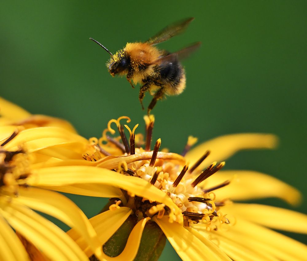 Photograph by Дмитрий Ткаченко