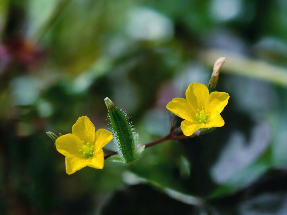 Photograph by Галина Бессуднова