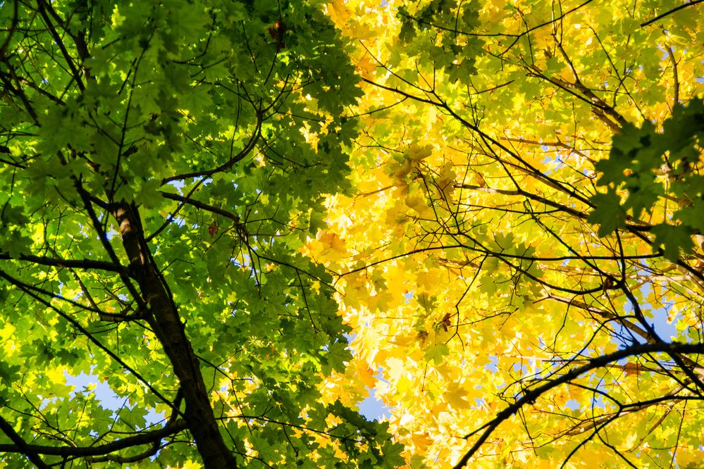 Photograph by Владимир Рогулькин