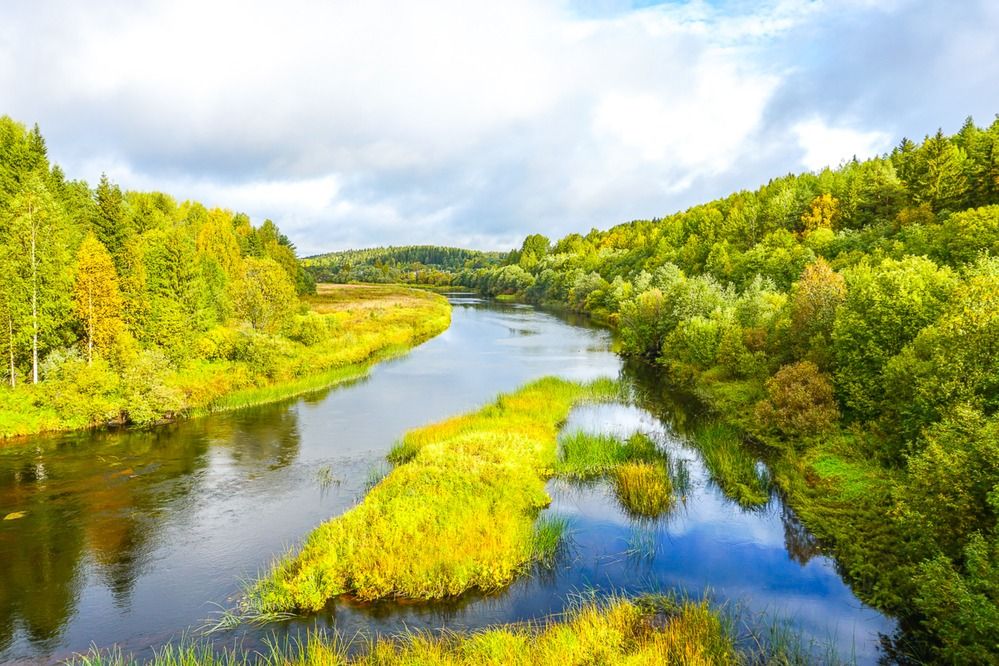 Река Кема.