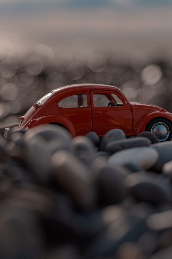 Photograph by Анна Котлярова