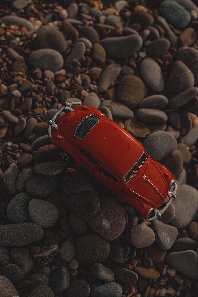 Photograph by Анна Котлярова