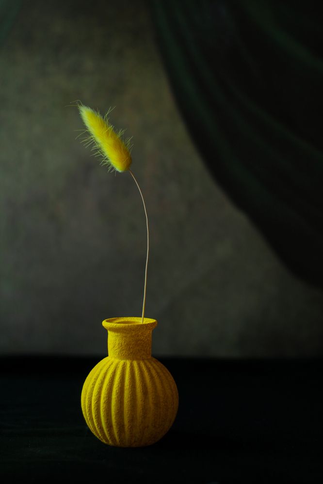 Photograph by Анна Зайченко