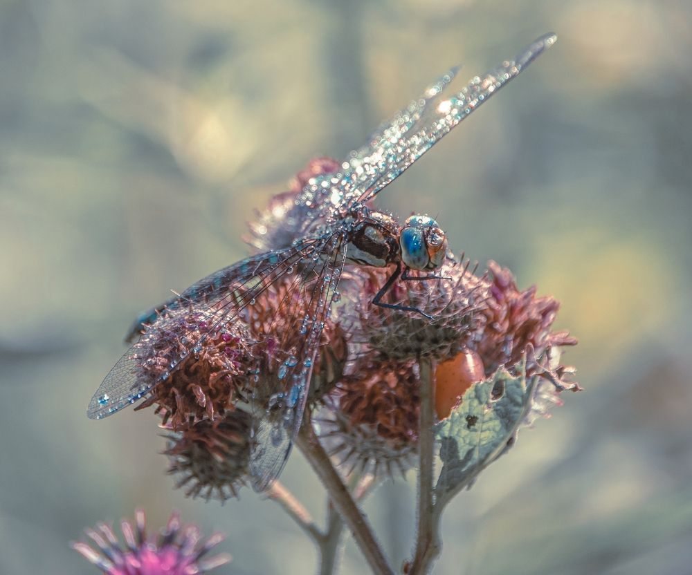 Photograph by Любовь Бусова