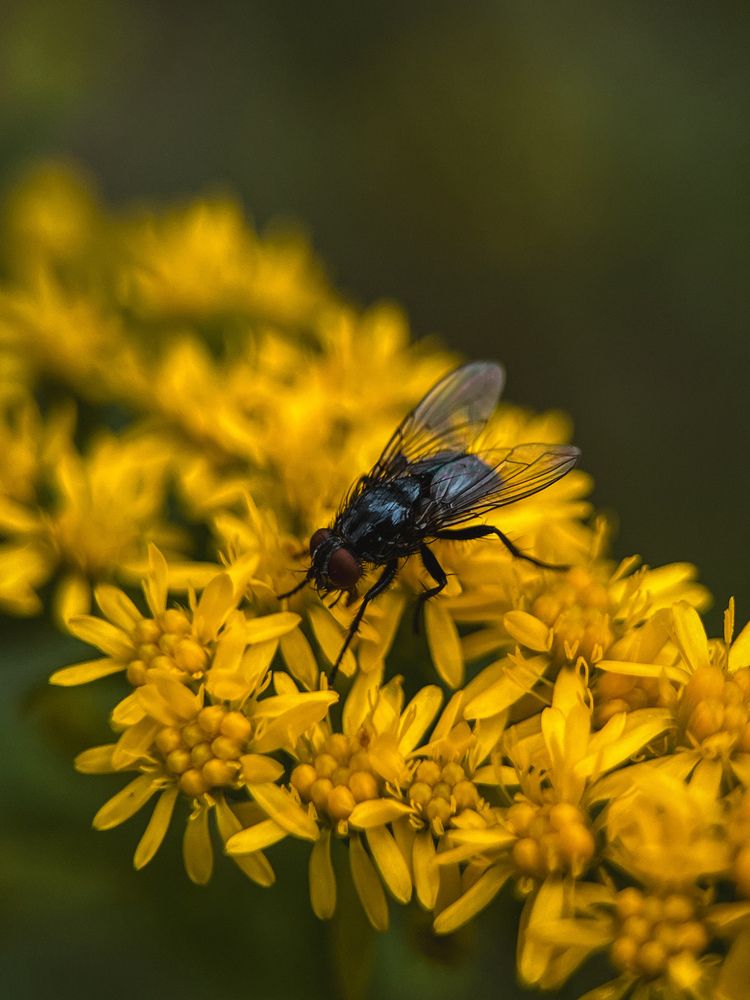 Photograph by Виктория Казакова