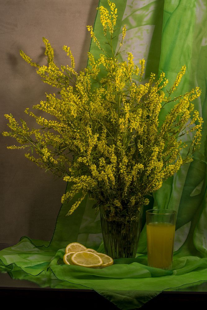 Photograph by Людмила Павловна