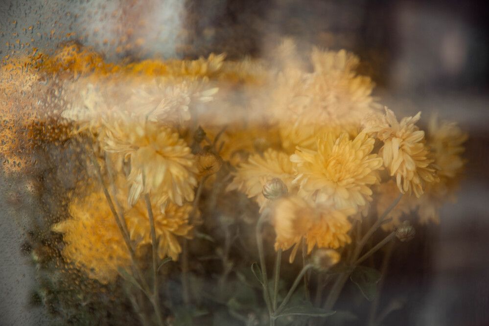 Photograph by Анастасия Воропаева