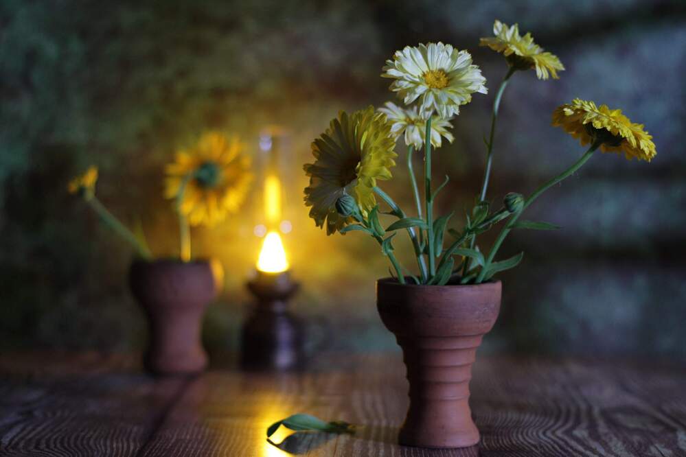 Photograph by Людмила Таерова