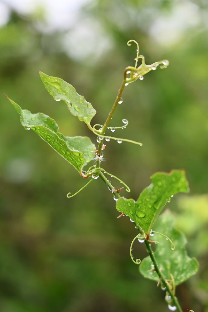 Photograph by Марина Иванникова