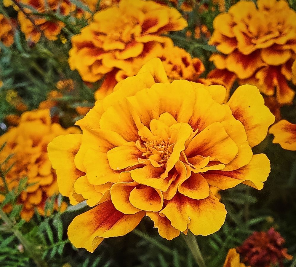 Photograph by Olena Chertous