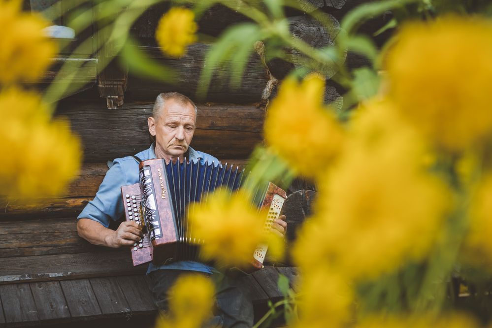 Печальная гармонь