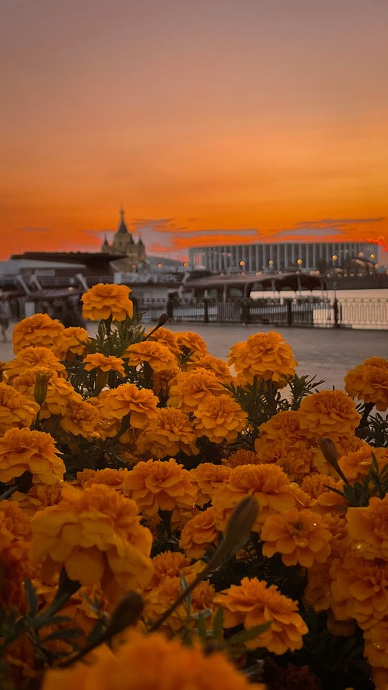 Photograph by Ольга Дорошенко