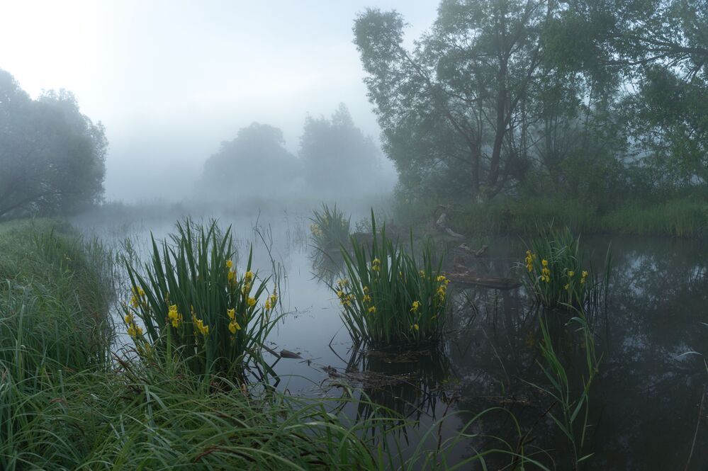 Photograph by Кондрашова Светлана
