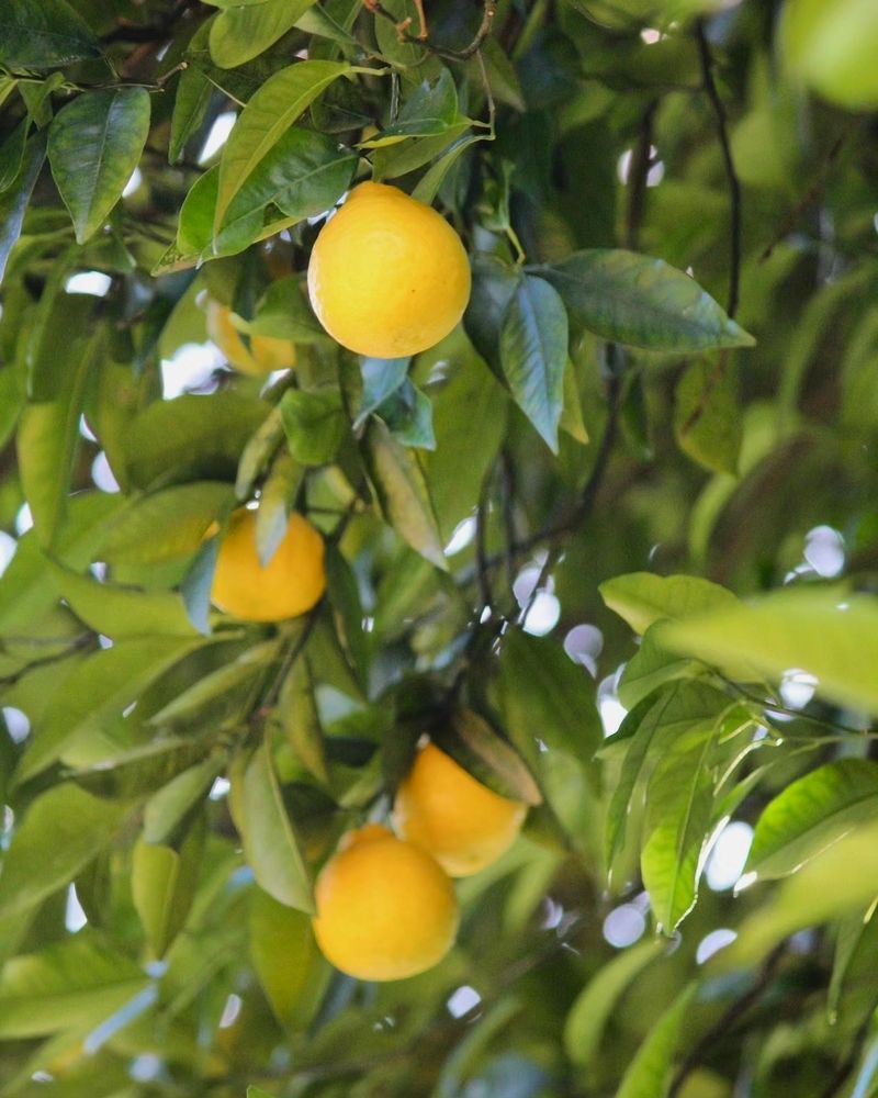 Photograph by Марина Иванникова