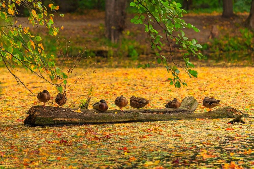 Photograph by Литвинов Александр