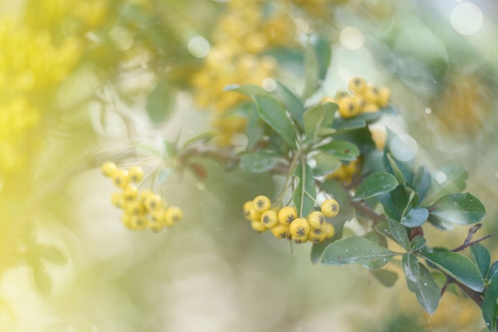 Photograph by Magic Helios