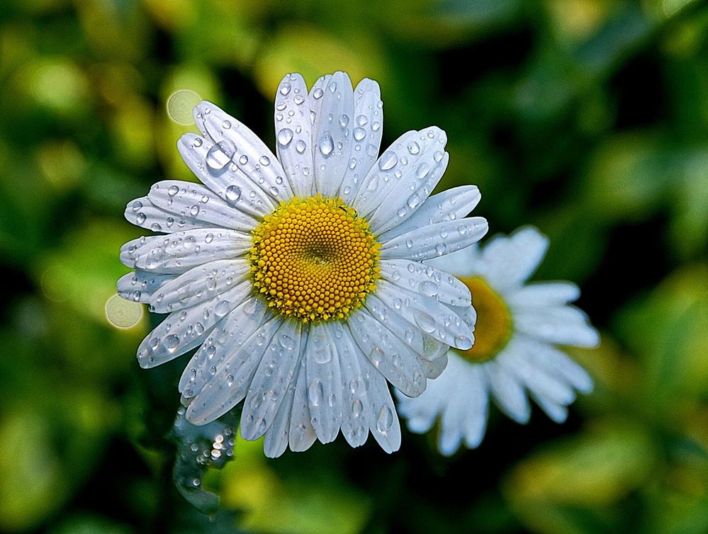 Photograph by Анастасия Смирнова