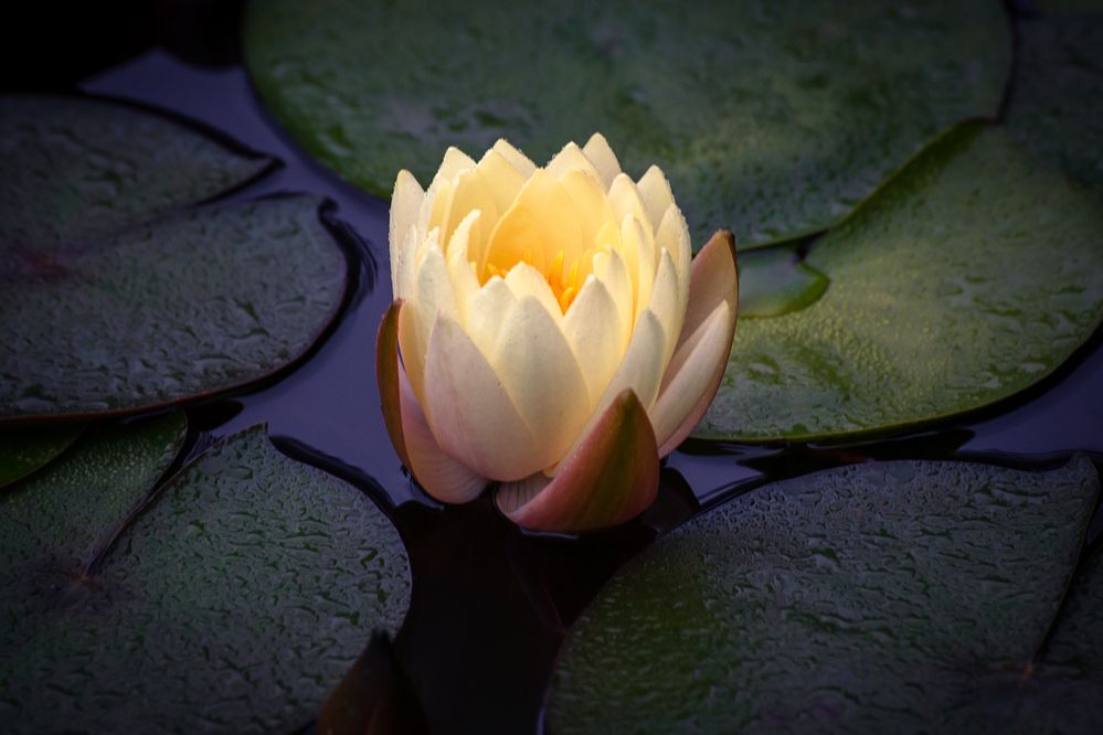 Photograph by Алексеев Сергей