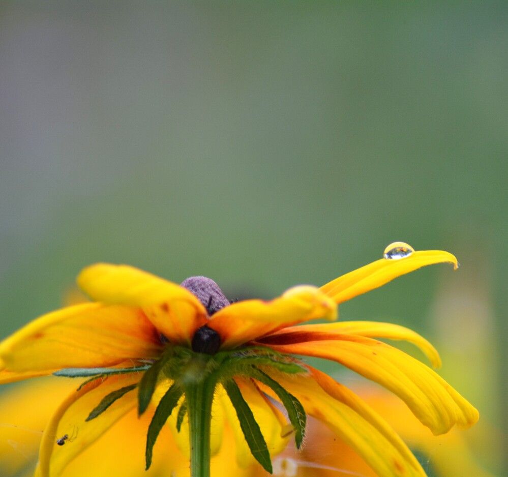 Photograph by София Бояринцева