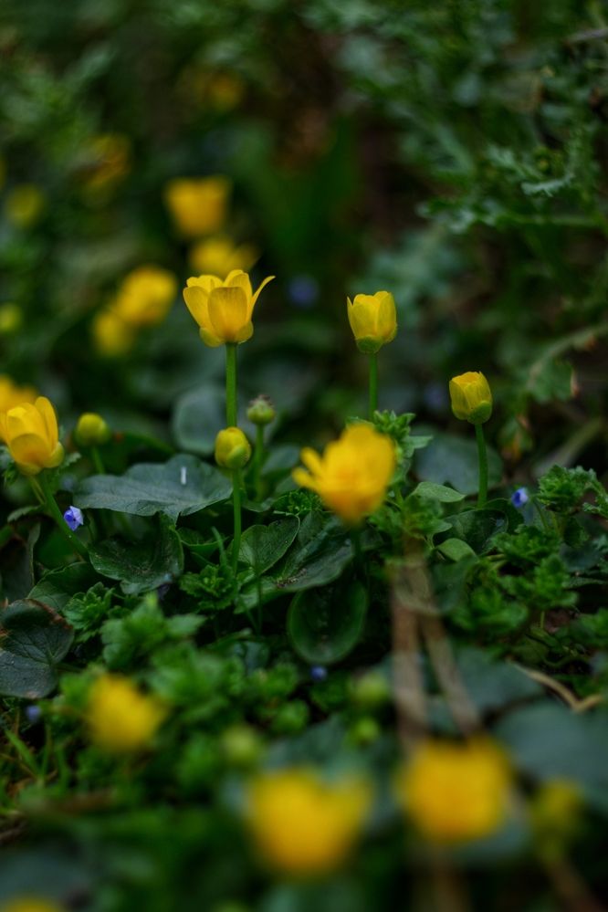 Photograph by Magic Helios