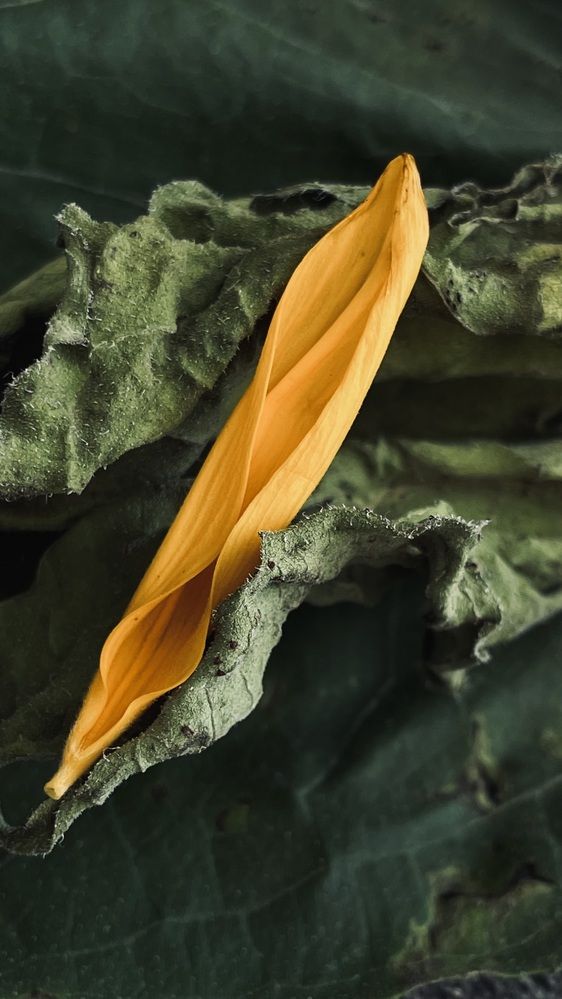 Photograph by Ольга Дорошенко