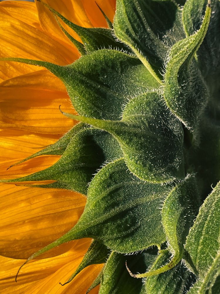 Photograph by Ольга Дорошенко