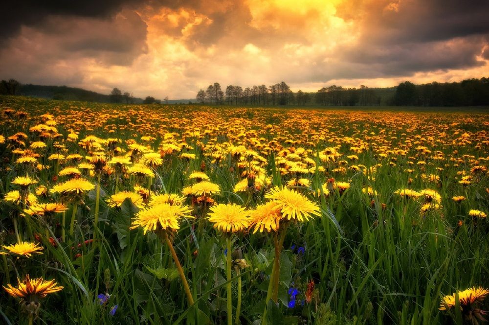 Photograph by Владимир