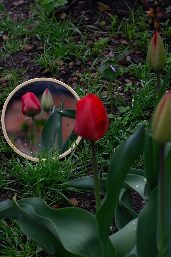 Photograph by Виорика Фоменко