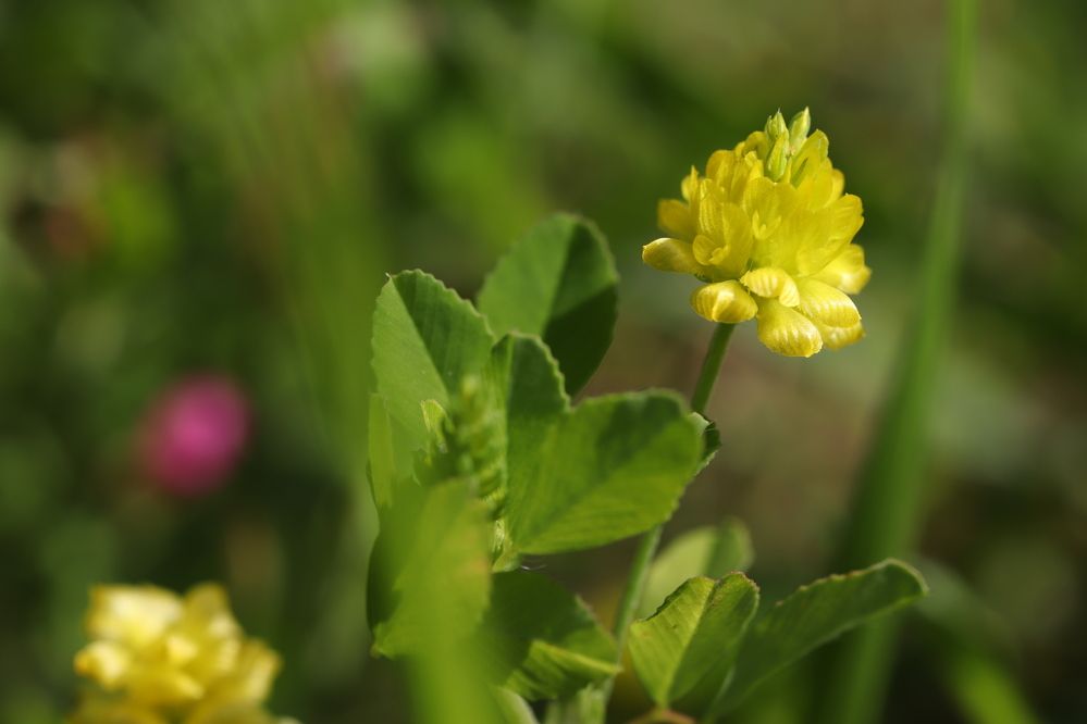 Photograph by Se Lena