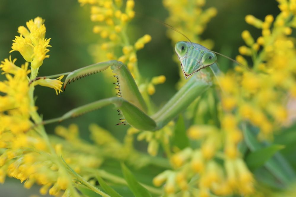 Photograph by Se Lena