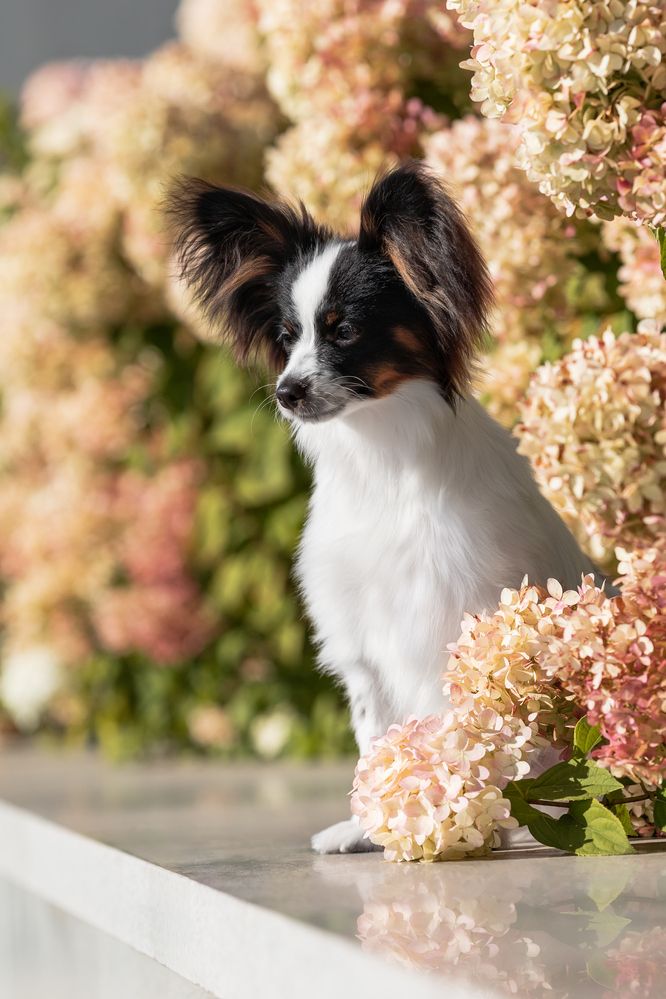 Photograph by Алина Дудорова