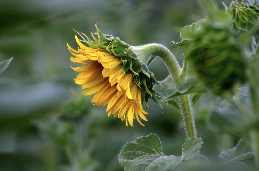 Photograph by Анатолий Святой