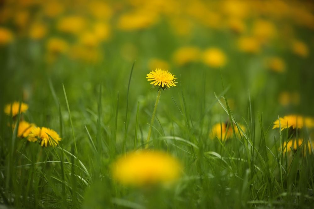 Photograph by Татьяна Бравая