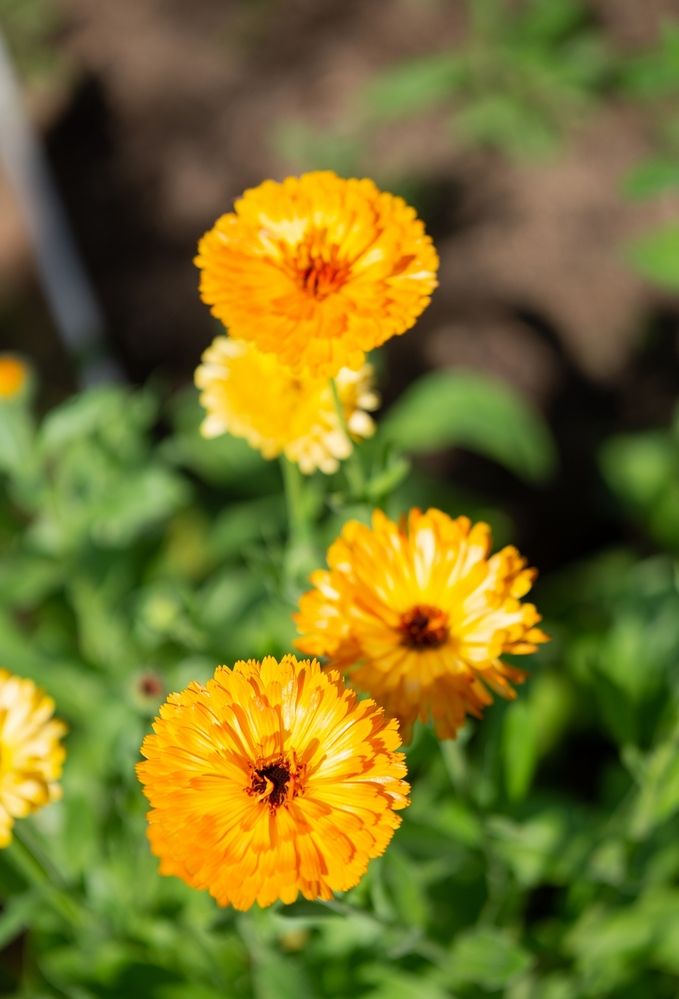 Photograph by Екатерина Одинцова