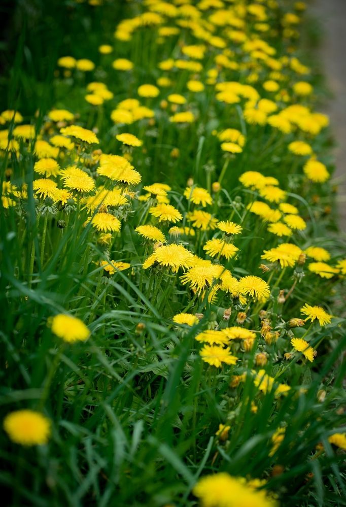 Photograph by Екатерина Одинцова