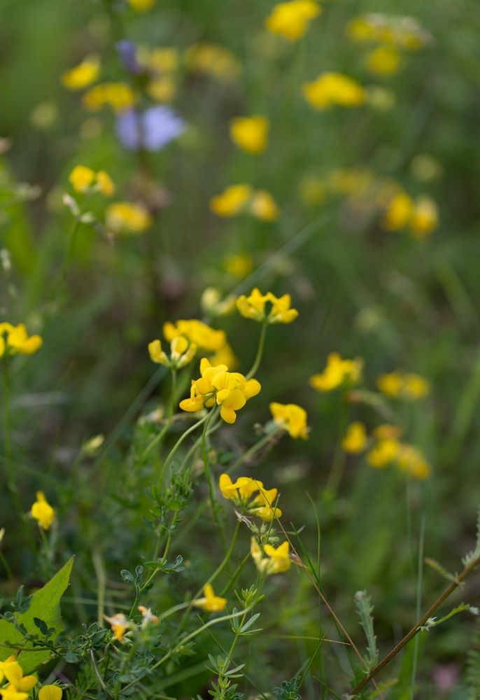 Photograph by Екатерина Одинцова