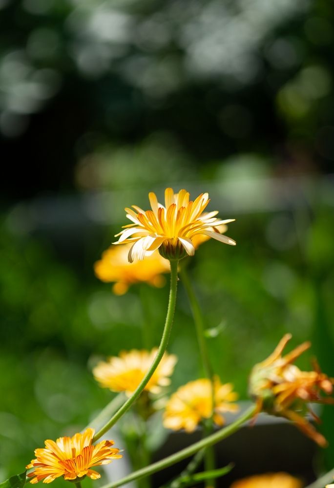 Photograph by Екатерина Одинцова