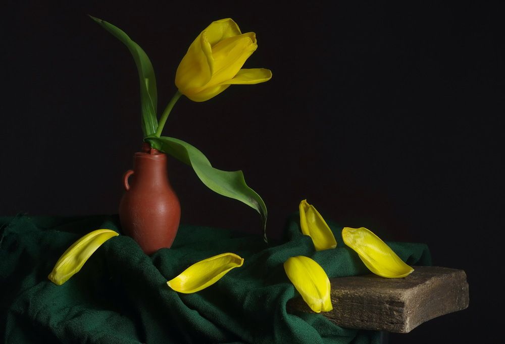 Photograph by Анатолий Святой