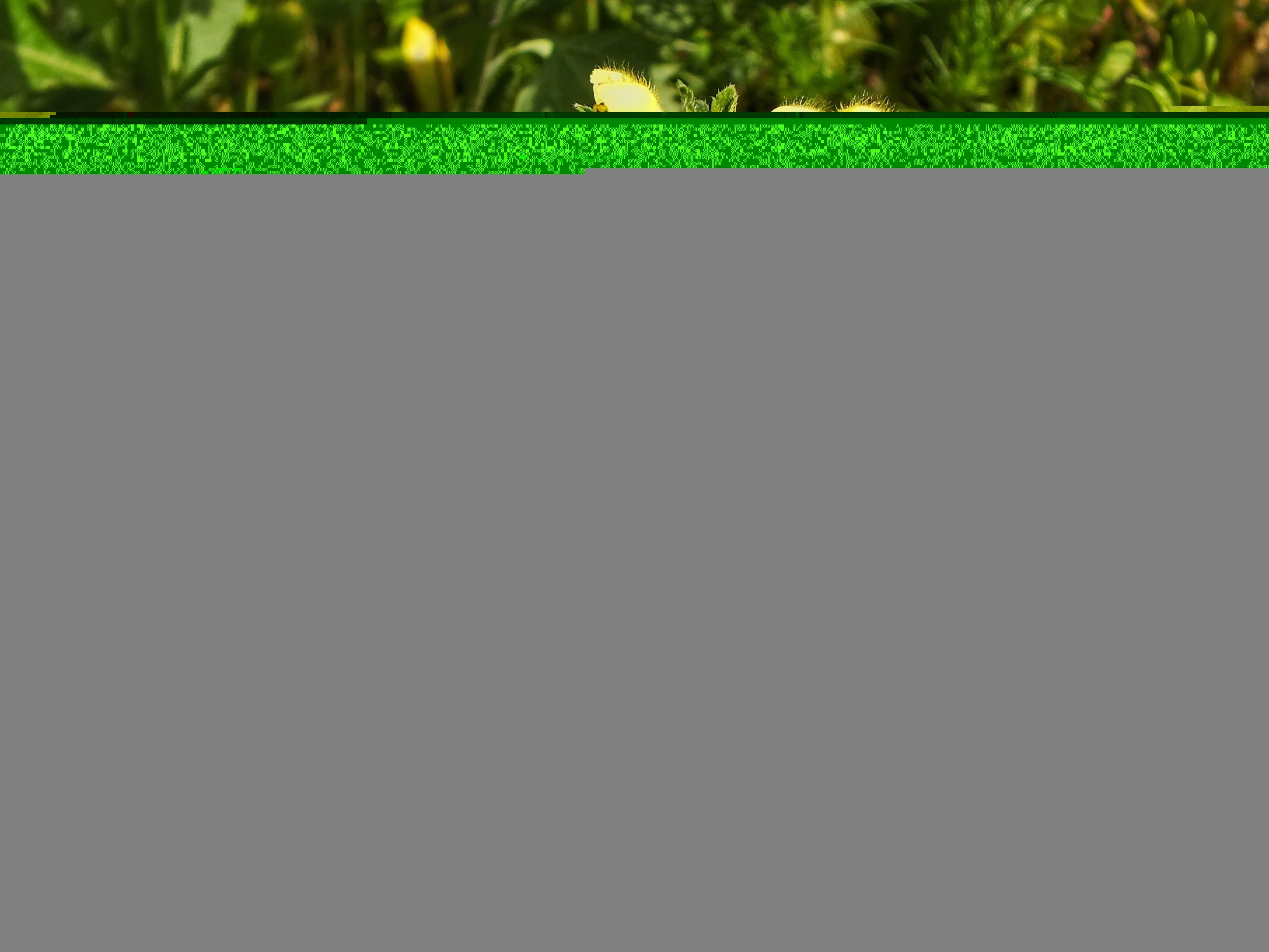 Фотография автора Андрей Шестаков