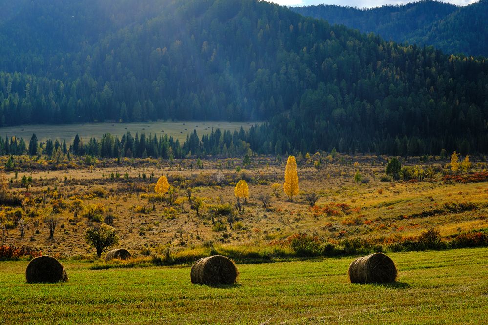 Photograph by Михаил Рогачев