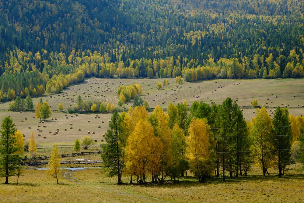 Photograph by Михаил Рогачев