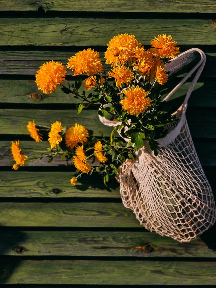 Photograph by Татьяна Гуцанович