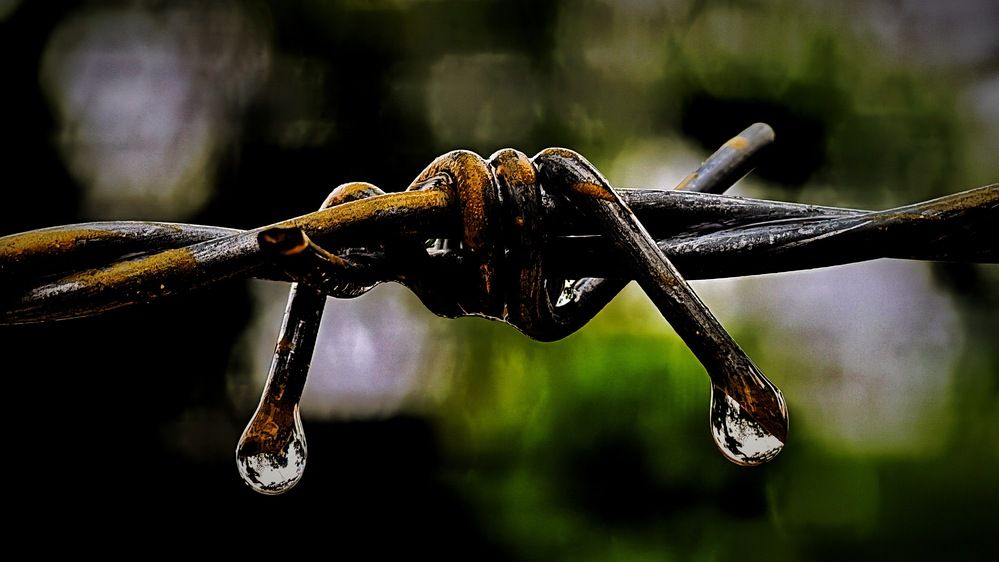 Photograph by Thịnh Nguyễn