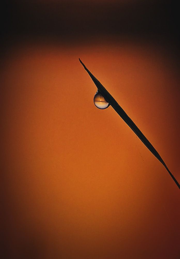 Photograph by Thịnh Nguyễn